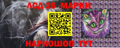 трава Камышлов