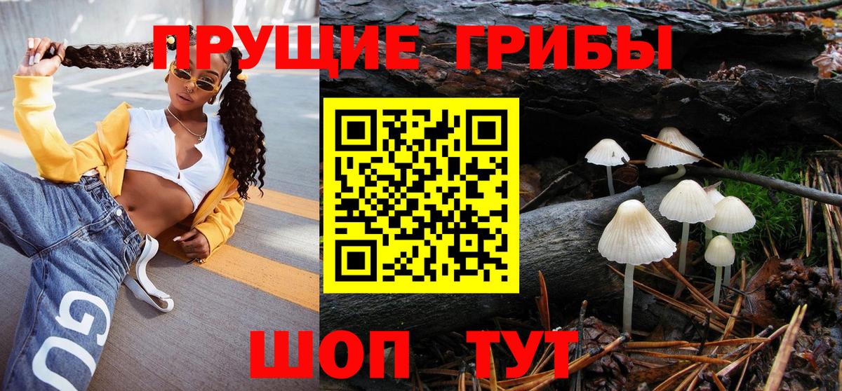 Псилоцибиновые грибы Psilocybine cubensis  Вход с VPN  Егорьевск 