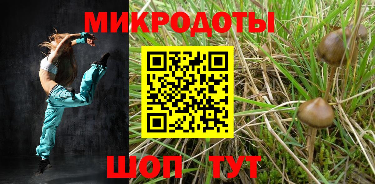 Галлюциногенные грибы GOLDEN TEACHER Егорьевск