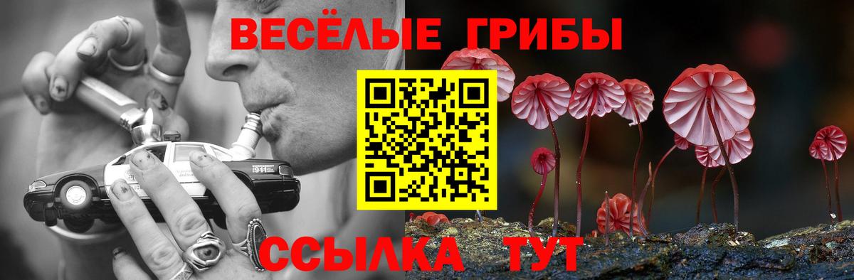 Codein Егорьевск